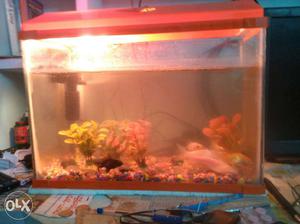 Aquarium with 10 fishes and water filter and