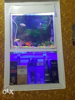 Compleate aquarium with fish filter heater