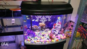 Fish Aqurium tank