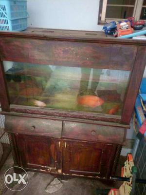 Fish tank and cabinet r sale 3feet tang size