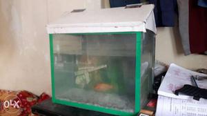 Fish tank for sell in 500 rupees only