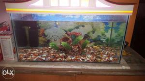 Fish tank for sell only 2 months and all free