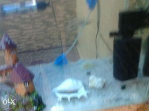 Fish tank  with gravel, castle, oxygen pump and led