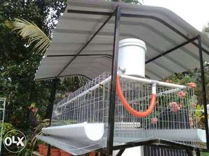 HEN CAGE (Kozhikoode) available inand30 number cage