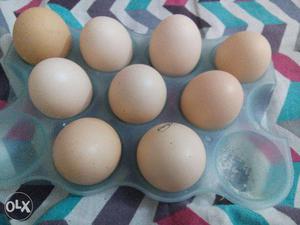 Karukozli eggs for sales each egg Rs 50