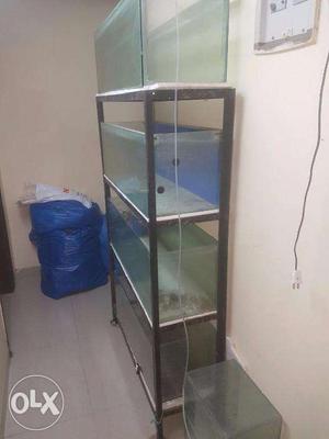 Rack for Fish Tank With Fish Tank For Sale In Mira Road