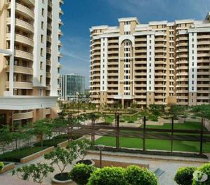 3 BHK for rent in Vipul Belmonte