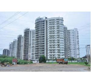 3 BHK for rent in Palm Drive