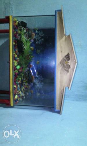 45 days old..i want small size..so sale this fish tank.