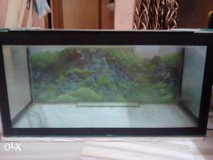 Fish Tank only at Rs.