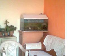 Fish tank (2.5feet) with all accessories