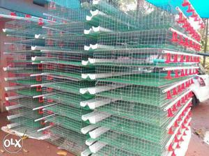 Freedom poultry high tech cage and accessories