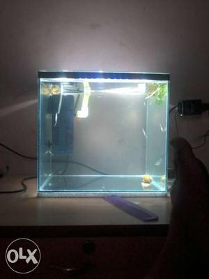 I want to sell my fish tank. L=13" B=12" H=12"