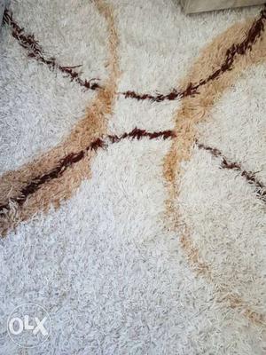 6 by 4 white plush shaggy carpet in excellent