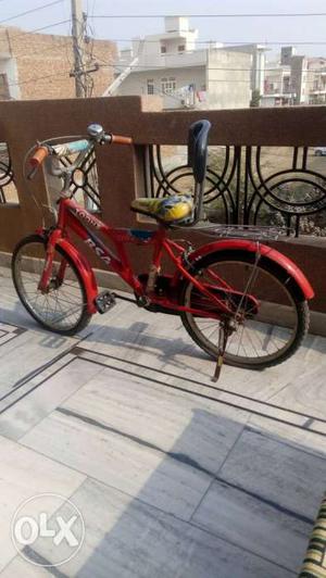 Red And Black Dutch Bike