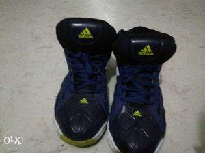 Adidas basketball shoe 6 months old