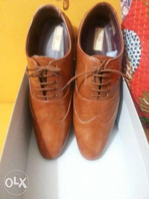 Brand new brown leather shoes...Never used,
