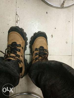 Brown Black Hiking Shoe