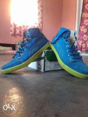 Puma drongos dp blue lime shoes
