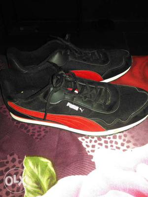 Puma shoes-size 11-new-bought from amazon-only