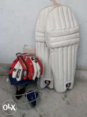 Full SG kit with bat perfect condition