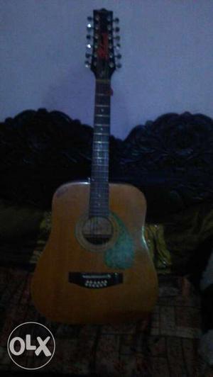 Hobner Semi Acoustic 12 strings guitar