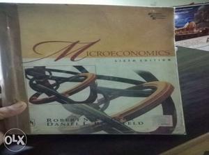 Microeconomics Book
