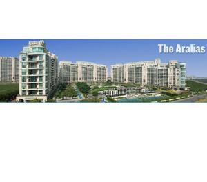 4 BHK apartment available for rent in DLF Aralias