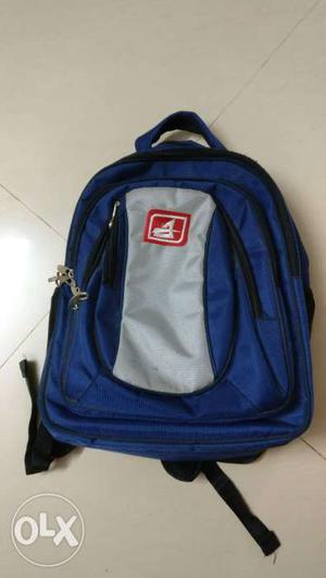 Blue And Silver Backpack