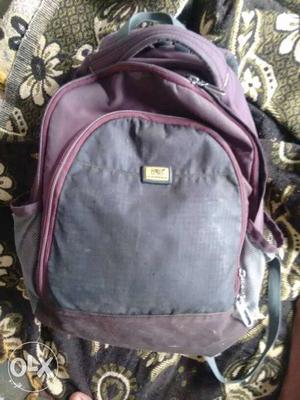 Gray And Purple Backpack