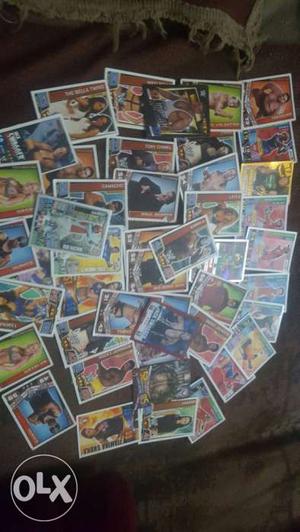 Wrestler Card Collections