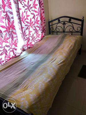 Single bed wrought iron wid mattress