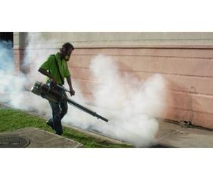 Best Pest-Control Services in Allahabad Allahabad