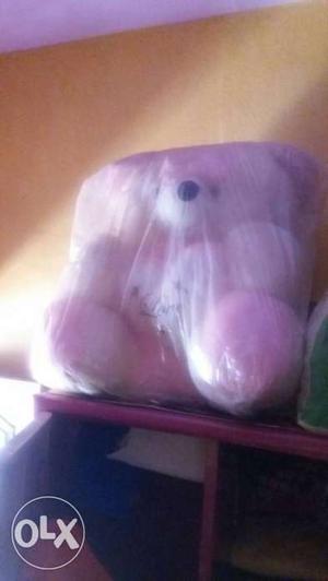 Large new teddy for sell market price  it's