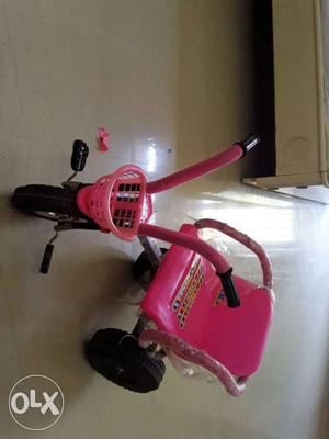 Toddler's Pink Trike