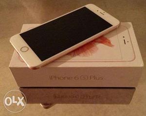 Apple iPhone 6S Plus (Rose Gold, 64 GB)