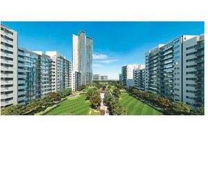 3 BHK apartment available In Ireo Skyon