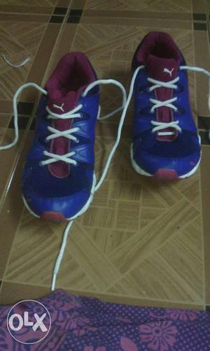Pair Of Blue-and-maroon Puma Running Shoes