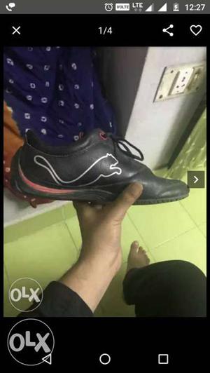 Puma Ferari shoes 5 months old my buying price is
