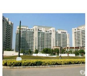 5 BHK APARTMENT AVAILABLE FOR LEASE IN DLF ARALIAS