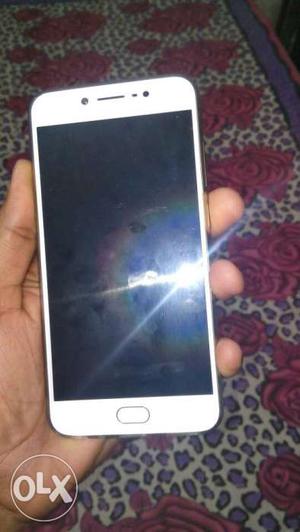 Vivo v5 on warranty in good condition with VR 3D BOX free