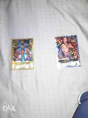 Two Wwe Trading Card Collection