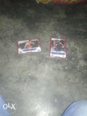 Two Wwe Trading Cards