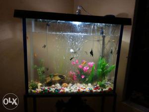 2.5x2 fit aquarium with stand + top + 1 heater,