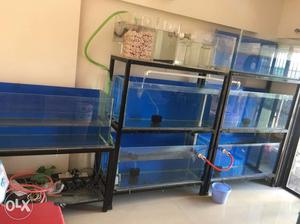 6 fish tank.. size 40x18x18