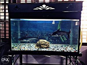 Aquarium in very good condition tank the tank is