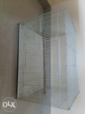 Bird Cage (2days old) slot openings for keeping
