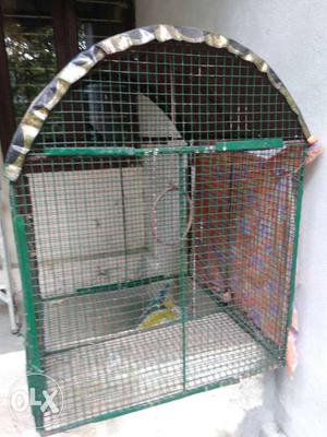 Bird cage iron made... 6 months old