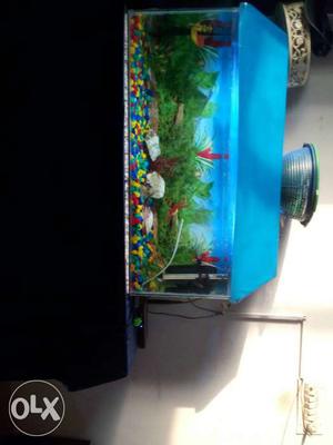 Fish aquarium with filter and colored stones plus