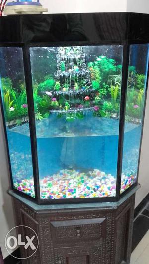 Fish tank and waterfall